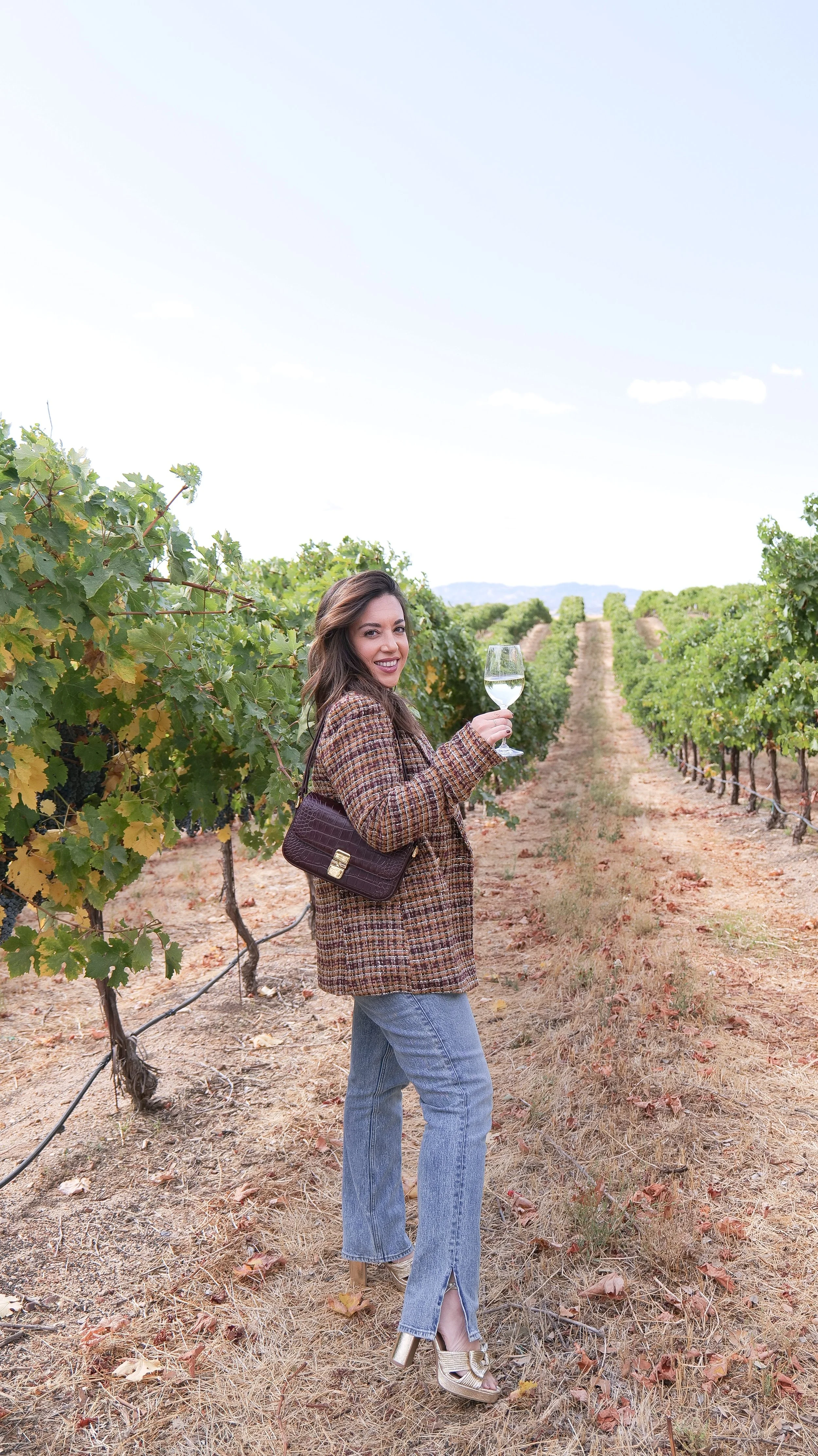 Stylish Sipping The Ultimate Guide To a Fashionable Winery